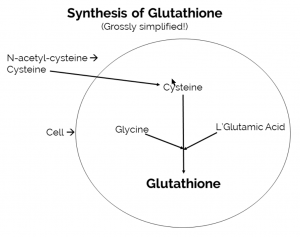 N-Acetyl Cysteine to Glutathione simplified graphic